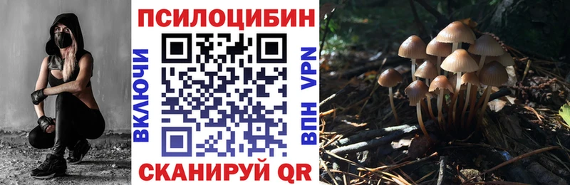Купить закладки  Клинцы  Псилоцибиновые грибы Magic Shrooms 